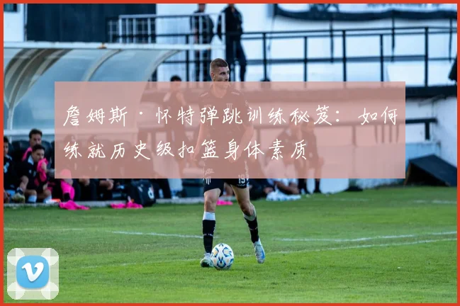 詹姆斯·怀特弹跳训练秘笈：如何练就历史级扣篮身体素质