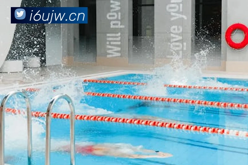 华体网体育官网服务体系